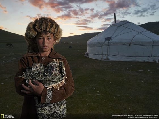 Във фотографския конкурс на National Geographic победи снимката на последствията от дизелгейта