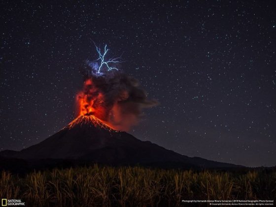 Във фотографския конкурс на National Geographic победи снимката на последствията от дизелгейта