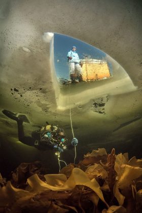 Във фотографския конкурс на National Geographic победи снимката на последствията от дизелгейта