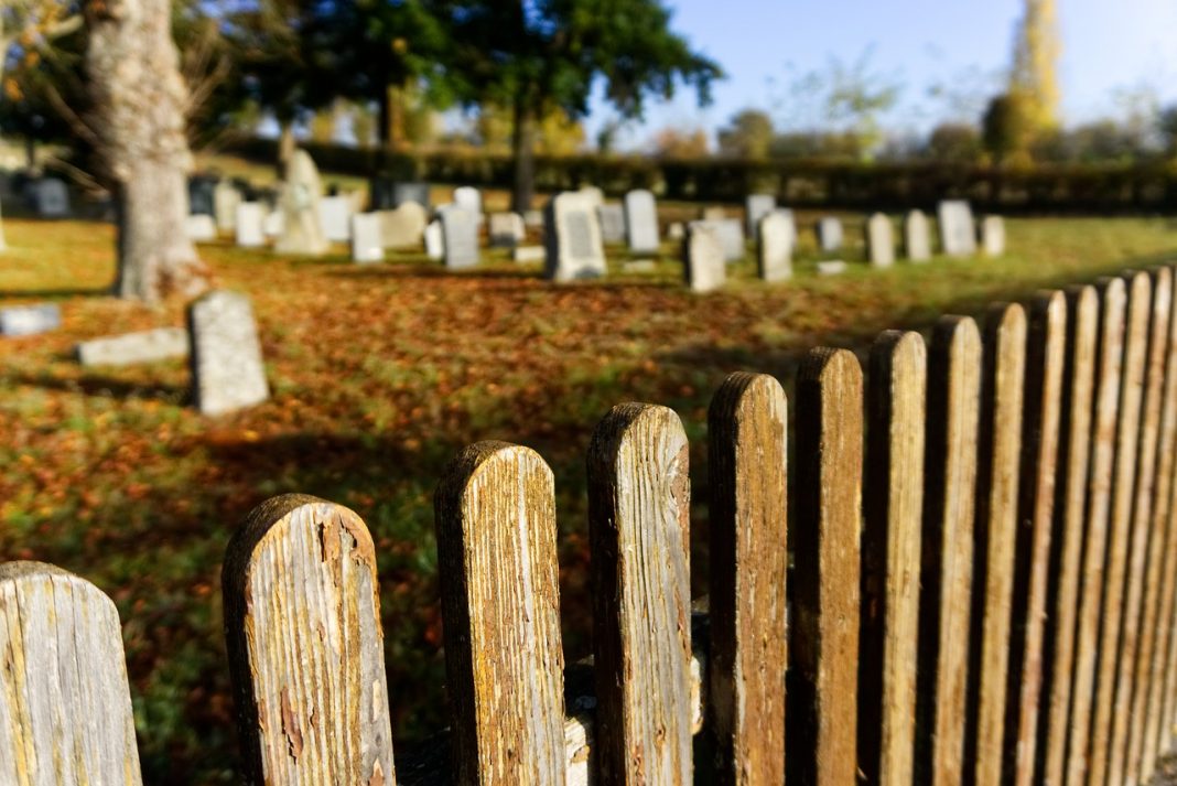 cemetery-3849080_1280 Американски щат легализира преработката на човешки останки в почва