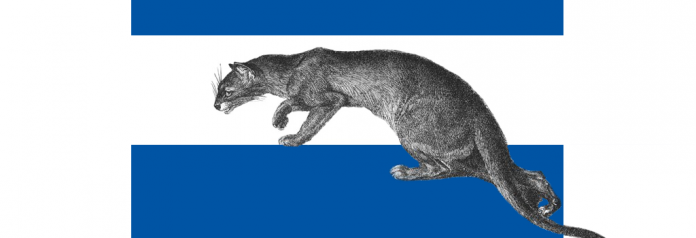 fossa_featured ЕС ще плаща щедро за разкрити уязвимости чрез FOSSA