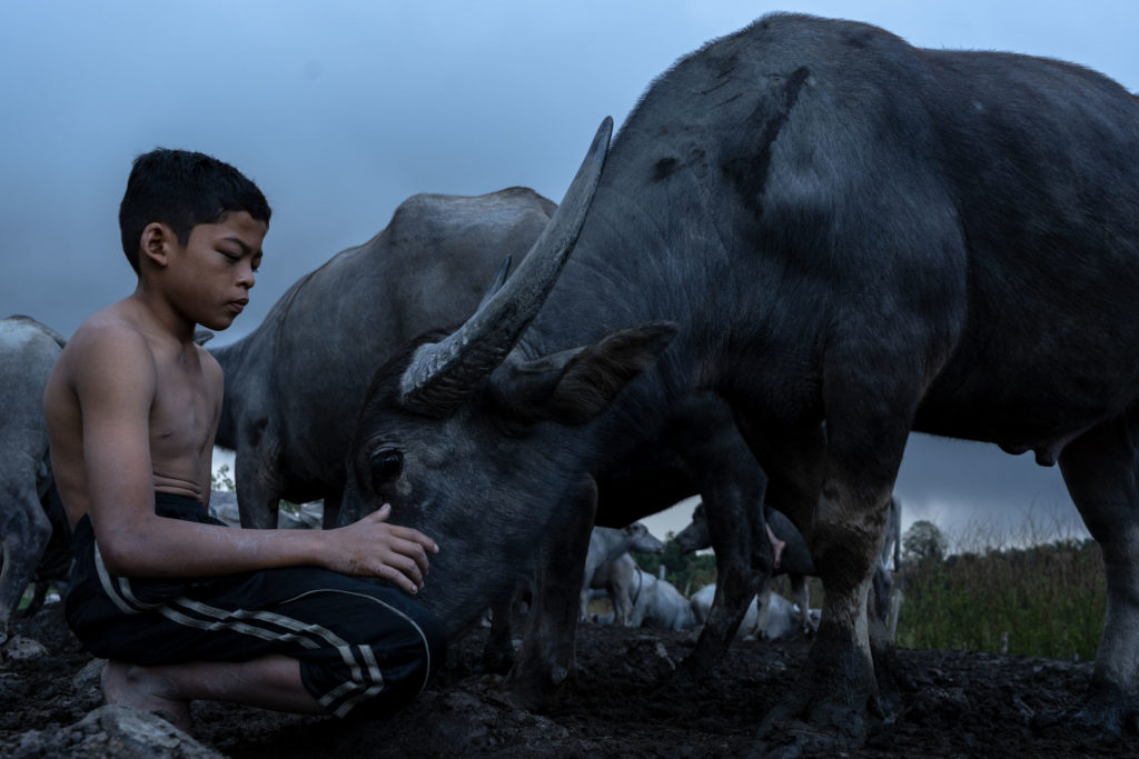 Обявиха финалистите в раздел Професионалисти на световния конкурс 2019 Sony World Photography Awards