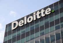 Deloitte: основната тенденция на пазара на труда стават суперпрофесиите