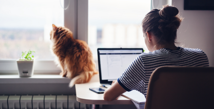office 4 Къде да работите, ако искате „хоум офис“?
