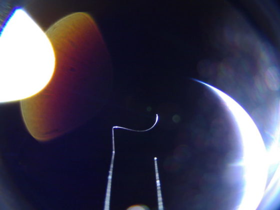 Сателитът Lightsail 2 със слънчево платно изпрати първите снимки