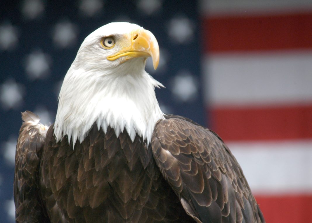 Patriotic Eagle Ще компрометира ли Белия дом Е2Е криптирането?