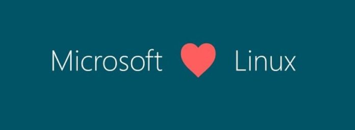 ms_loves_linux-810x298_c Microsoft планира да добави поддръжка на exFAT към Linux ядрото