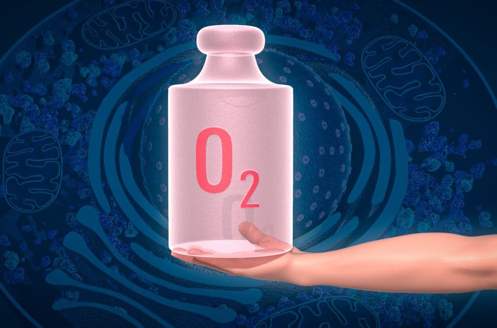 Ключът от клетката: как откритието на нобеловите лауреати ще се използва в борбата с рака и анемията