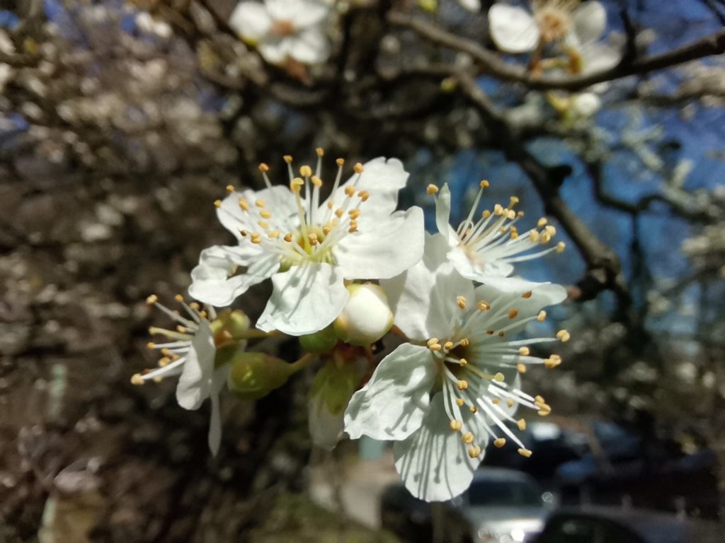 Ревю на Huawei P40 Lite – в среден клас по цена, във висок по дизайн и възможности