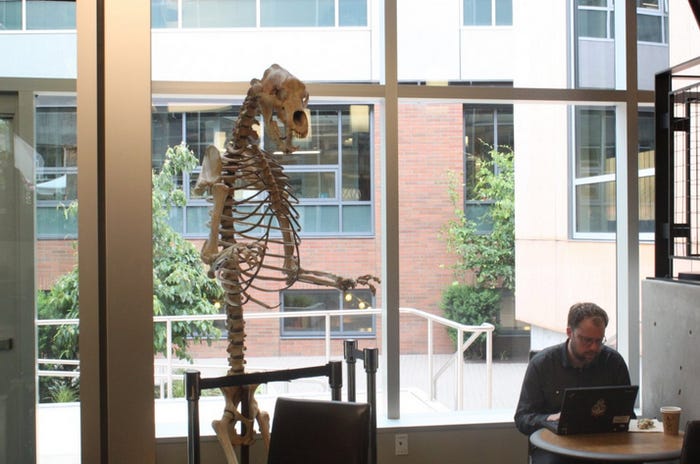 Amazon не е оригиналното име на компанията на Джеф Безос и още 14 малко известни факта за гиганта