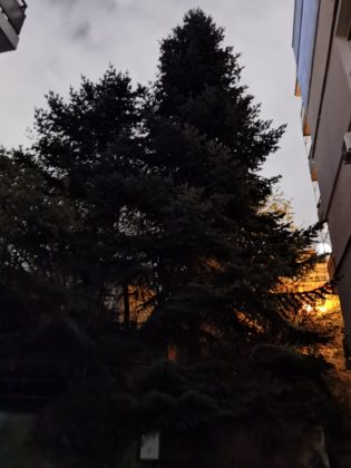 Ето как снима Huawei Mate 40 Pro при пълен мрак