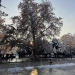 Ревю на iPhone 12 Pro – мощен смартфон с класическо излъчване