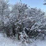 Ревю на iPhone 12 Pro – мощен смартфон с класическо излъчване