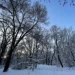 Ревю на iPhone 12 Pro – мощен смартфон с класическо излъчване