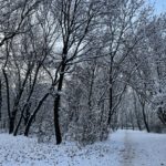 Ревю на iPhone 12 Pro – мощен смартфон с класическо излъчване