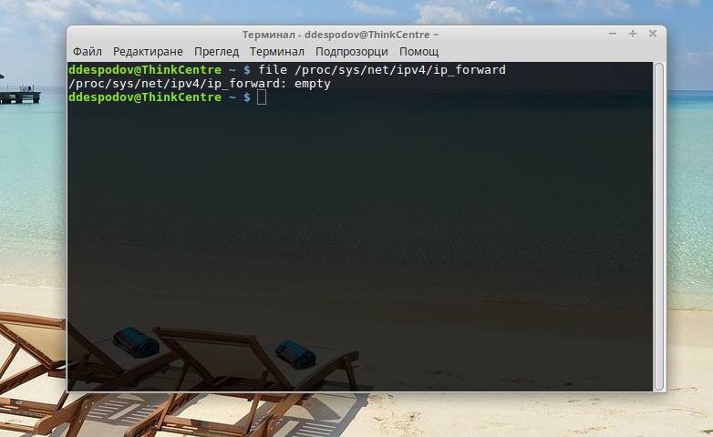 Основната концепция в Linux – всичко е файл