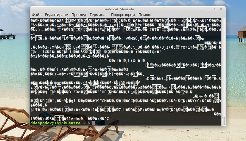 Основната концепция в Linux – всичко е файл