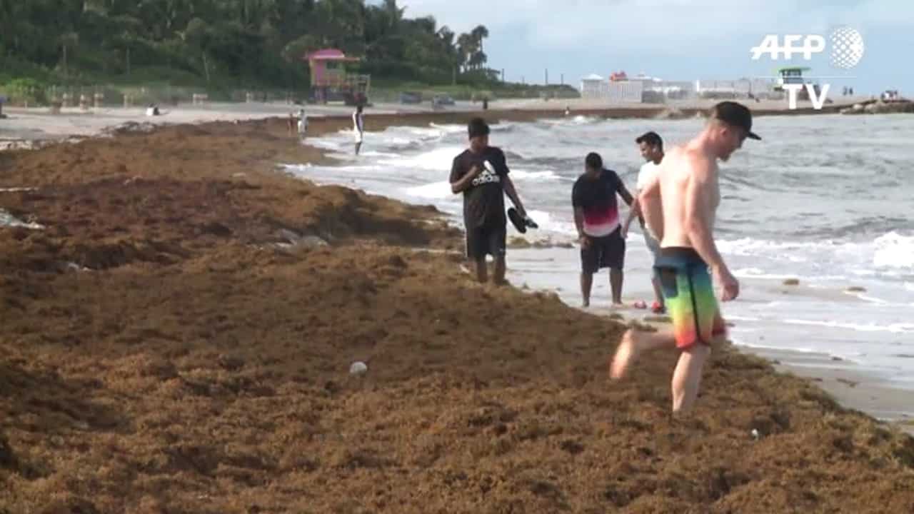 Климатът наистина се променя: най-големият цъфтеж на водорасли вече се вижда и от космоса