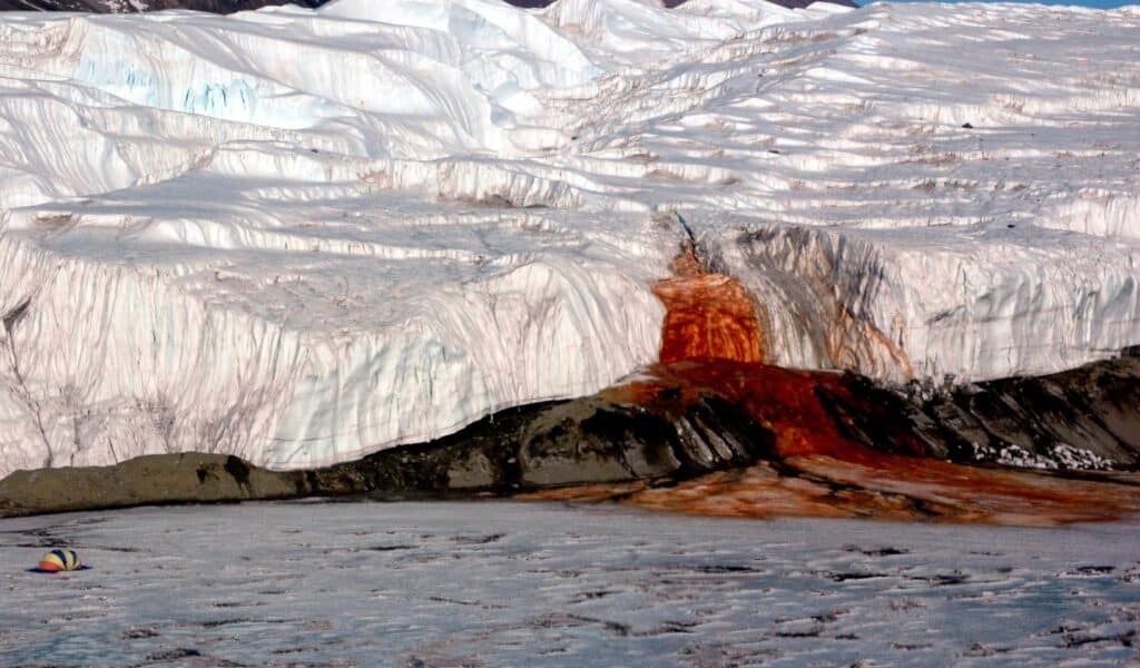 Научен пробив разкри мистерията, свързана с Кървавият водопад в Антарктида