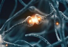 Учените изчислиха енергийните разходи на биологичните системи за обработка на информацията