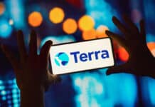 Terraform Labs предприема нов ход, за да „възкреси“ токените си – спира да емитира TerraUSD