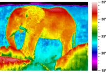 Промените на климата започнаха да влияят върху мозъка и поведението на животните