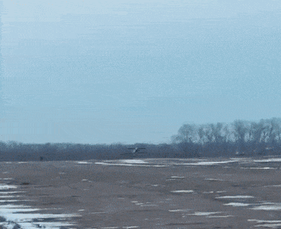 Украйна ще използва дронове камикадзе собствено производство, за да противодейства на Русия