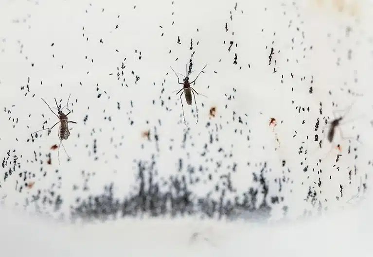 Nature изброи най-очакваните научни открития за 2024 г.