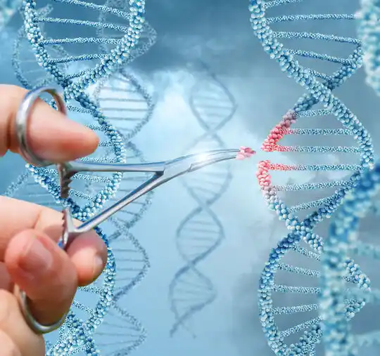 CRISPR-Cas3: революционната технология, която може да изтрие генетичните заболявания от човешката история