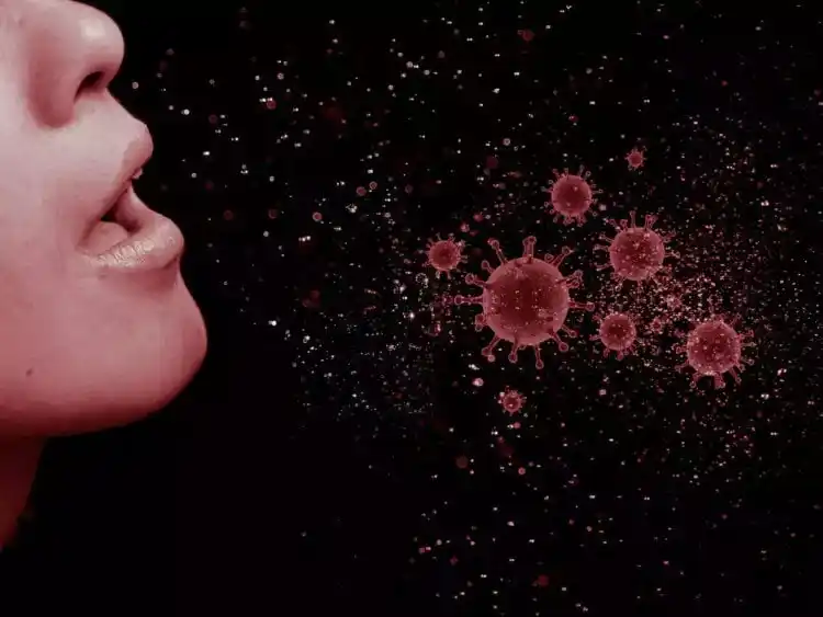 Тридемията в Европа или от какво ново можем да се разболеем през 2024 година?