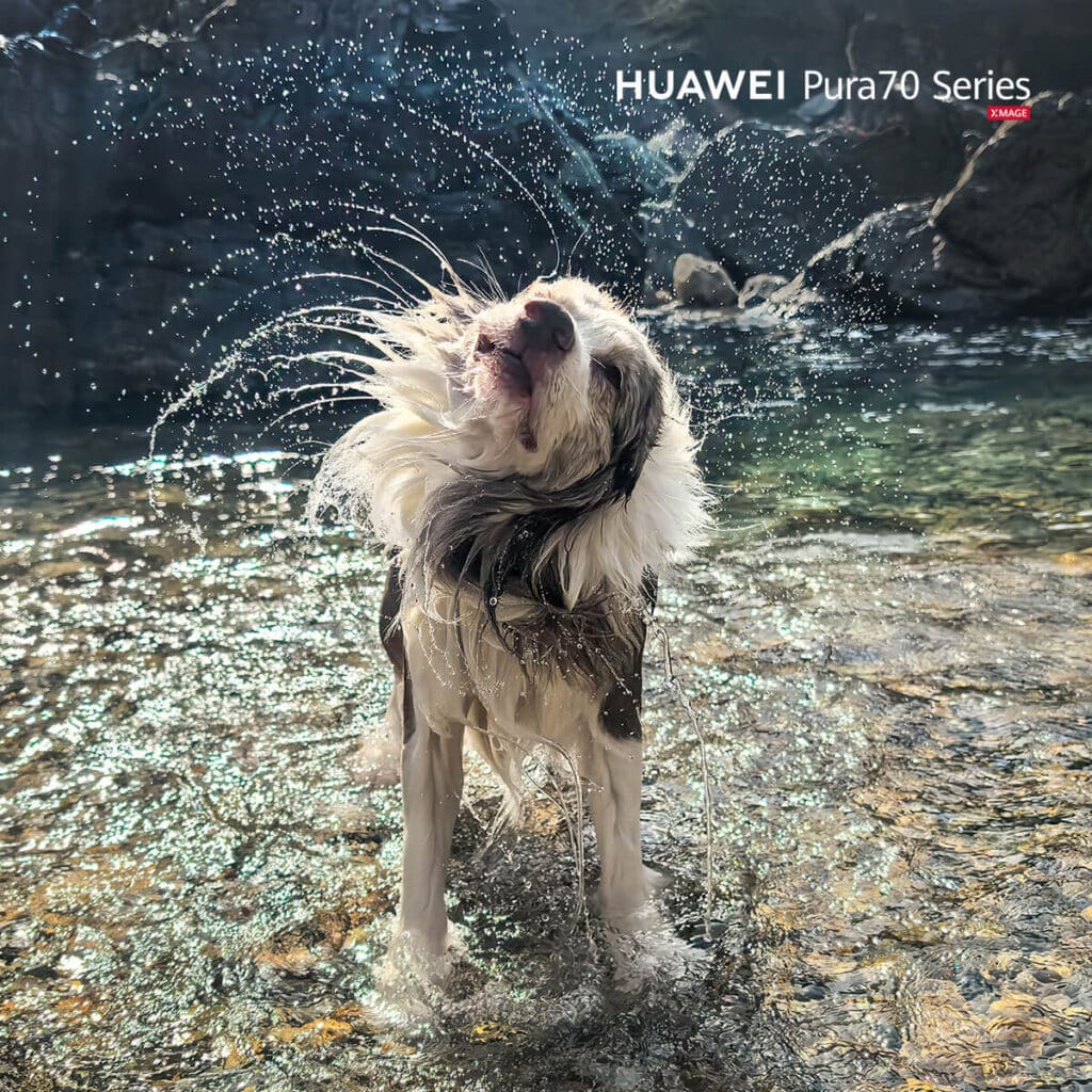 Започват редовните продажби на новата серия HUAWEI Pura 70