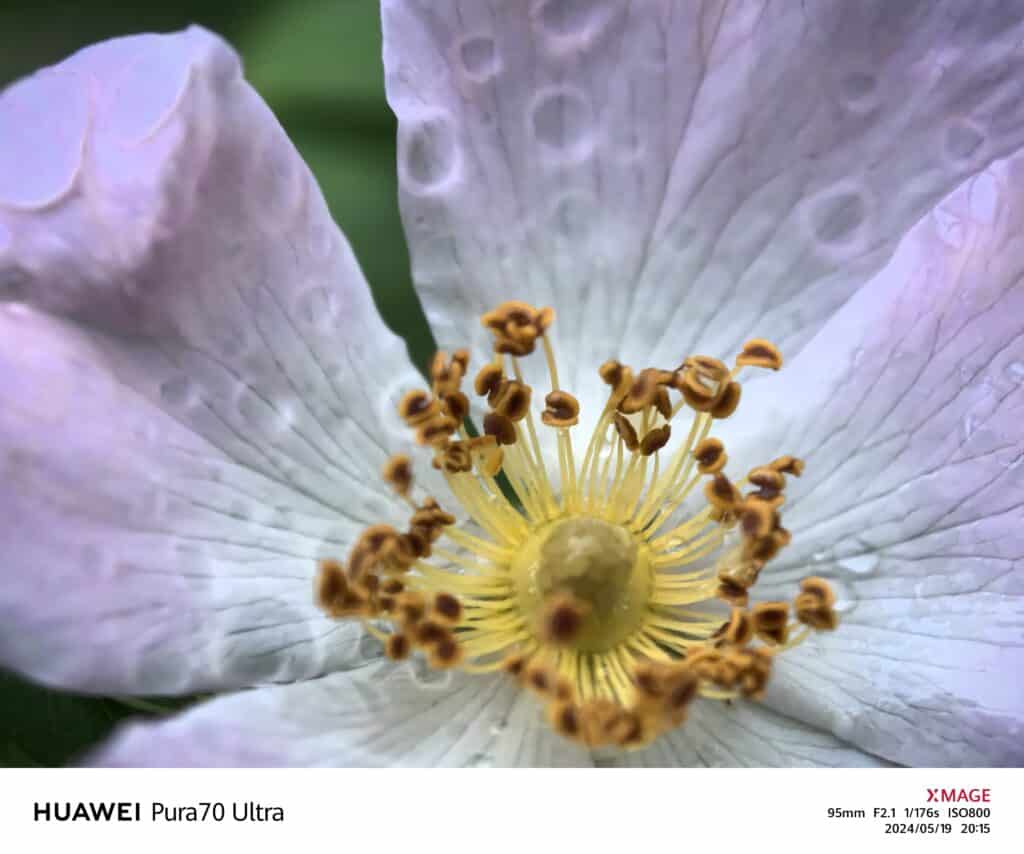 Huawei Pura 70 Ultra: новият крал на мобилната фотография