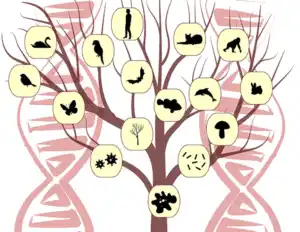 Homo Sapiens 2.0 или как хората продължават да се променят дори в съвременния свят