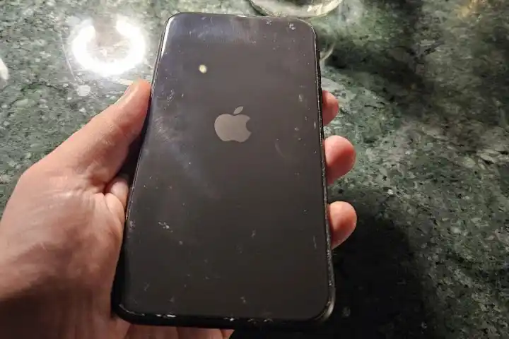 Виждали ли сте истински iPhone без камера? Оказва се, че това е цяла индустрия