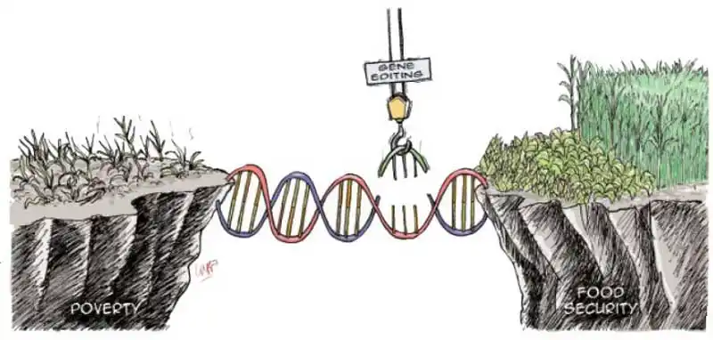 Четвъртата аграрна революция: как CRISPR, изкуственият интелект и дроновете се борят с глада
