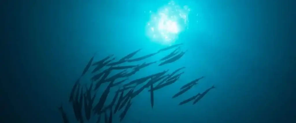 Отслабването на океанските течения неминуемо ще доведе до повишено нагряване на атмосферата