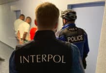 Операция „Чакал III“: Интерпол арестува 300 престъпници и конфискува милиони