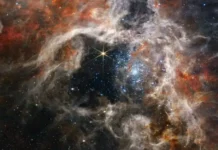 Ако съществуваха първичните черни дупки, Вселената отдавна щеше да се е самоунищожила