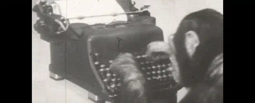 Учени потвърждават, че маймуните не могат да напишат произведенията на Шекспир – няма да стигне времето