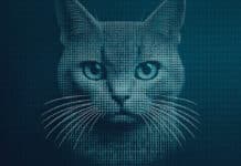 Bootkitty: Първият в историята UEFI бууткит за Linux