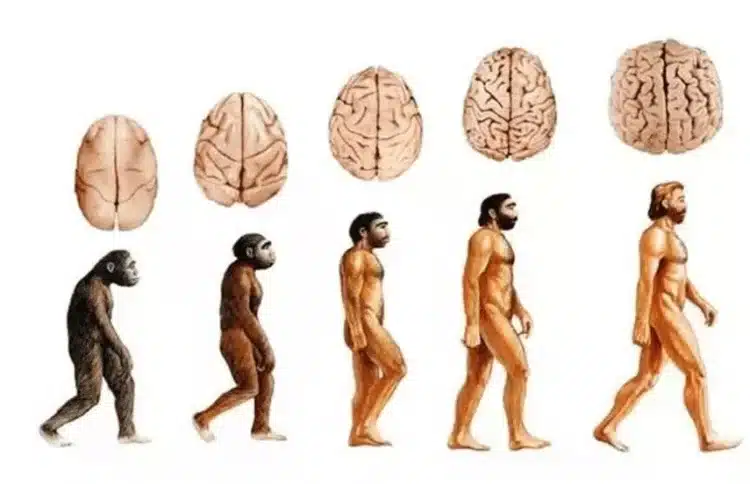 Ето защо четенето е по-здравословно от слушането на аудиокниги и гледането на филми