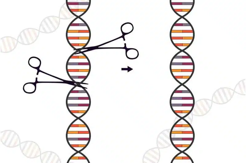 Опасен страничен ефект на CRISPR-Cas: генните ножици унищожават части от генома