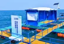 Нова технология увеличава 40 пъти ефективността на извличането на уран от морска вода