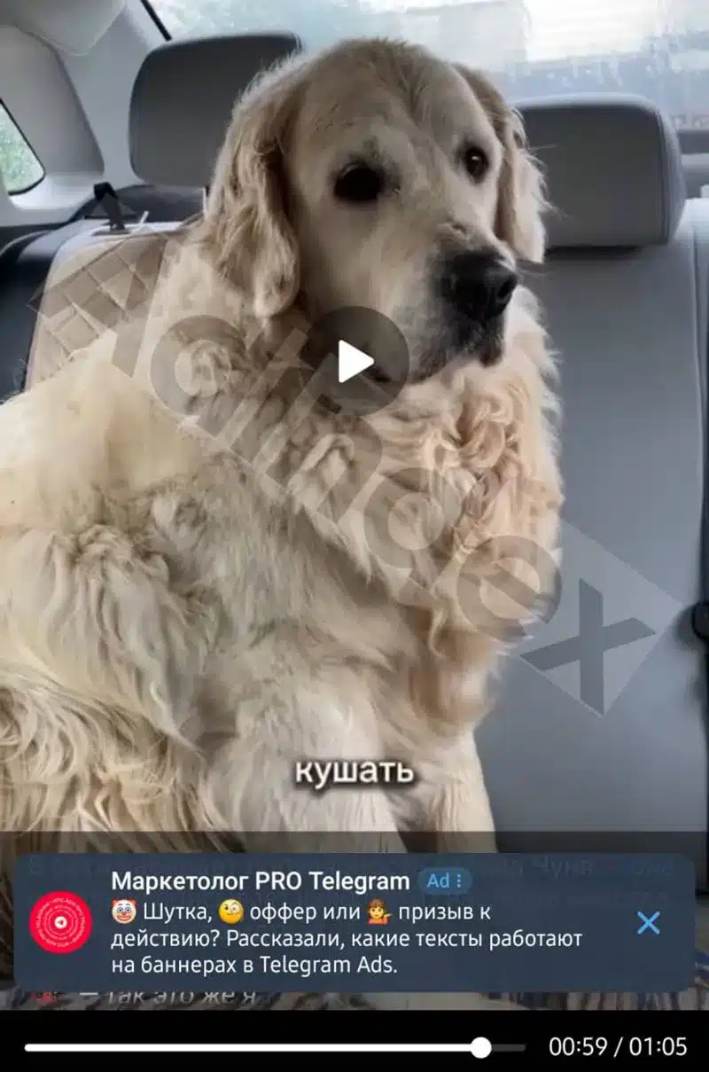 В Telegram се появиха реклами като в YouTube – директно във видеото