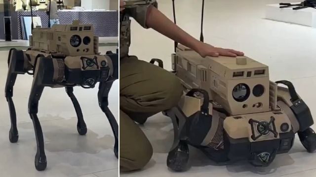 70-килограмови убийци на четири крака. Китай представи армия от бойни роботи