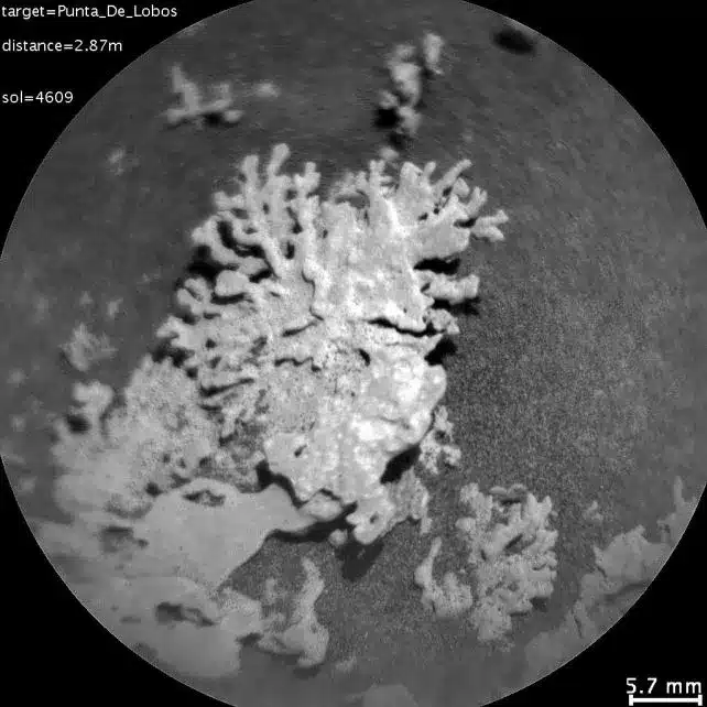Марсоходът Curiosity на НАСА откри на Марс „корал“ на няколко милиарда години