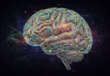 Вашият мозък може да е квантов радиоприемник. Нова теория обяснява съзнанието чрез полето на нулевата точка