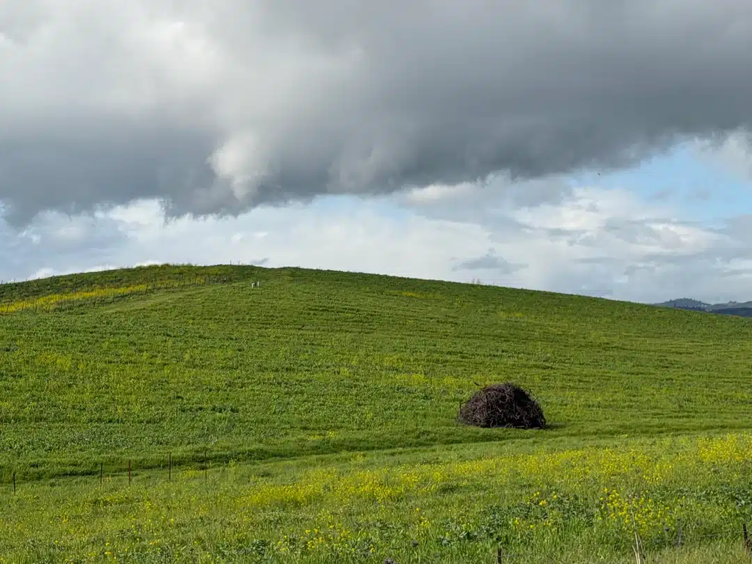 Фотограф “засне„ емблематичния начален екран на Windows XP от 1996 г. в реалността