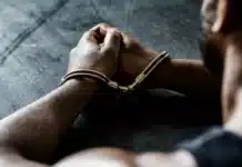 Холандската полиция арестува мъж за хакерство, след като погрешка му изпрати поверителни файлове