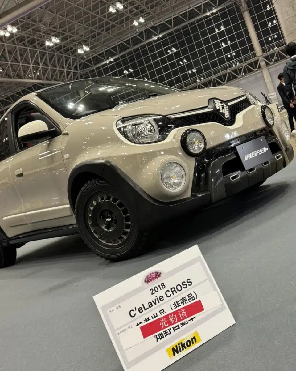 Старото Twingo получи два странни варианта